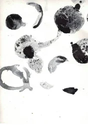 Formas abstractas fluidas
