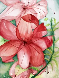 Tigerlily, 2007 (acuarela)