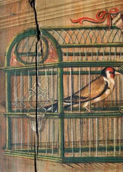 Pájaro en una jaula, detalle de una pintura por Defendente Ferrari, en la sección trasera del coro del siglo XVI, Iglesia de San Jerónimo, Biella, Italia