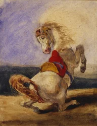 Caballo Encabritado