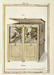 Cofre para transporte de plantas, acuarela por Delahaye