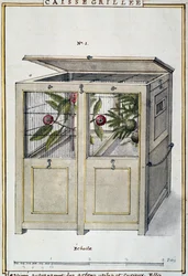 Contenedor para transportar árboles útiles e interesantes, basado en Florindie ou Histoire physico-economique des vegetaux de la Torride