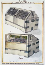 Cajas de madera para transportar plantas raras en barcos, de Florindie ou Historie physico-economique des Vegetaux de la Torride