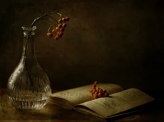 Bayas de otoño y un libro