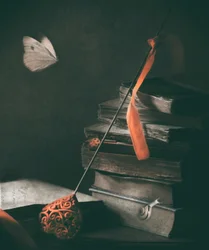 Mariposa «Dark Academia»