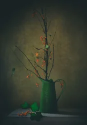 Naturaleza muerta botánica oscura