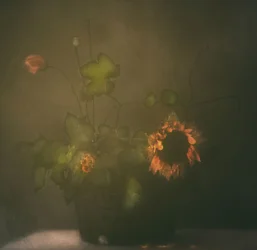 Naturaleza muerta botánica oscura