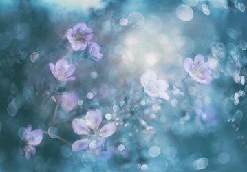 Flores con un bokeh de ensueño