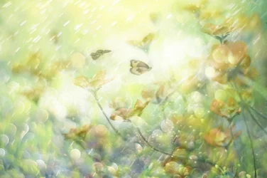 Flores de mariposa de ensueño