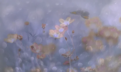 Flores en tonos pastel de ensueño