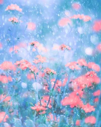 Flores rosas de ensueño