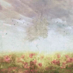 Árbol en un campo de amapolas de ensueño