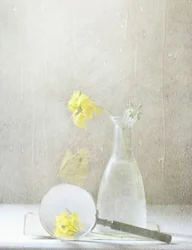 Flores amarillas de ensueño