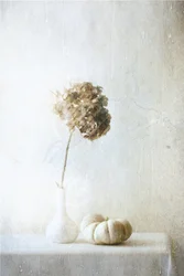 Naturaleza muerta con calabaza y hortensias secas