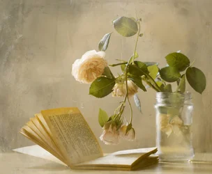 Rosas marchitas: Libro abierto