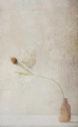 Naturaleza muerta con tulipanes marchitos