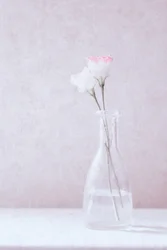 Flores enamoradas