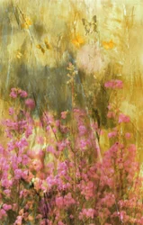 Las mariposas de Golden Meadow