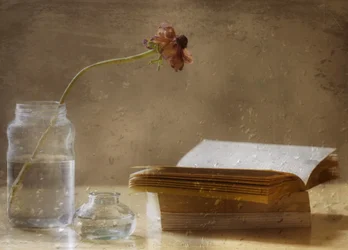 Flor melancólica y libro