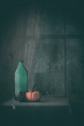 Naturaleza muerta de otoño lluvioso