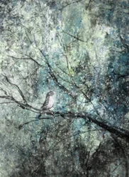 Aves serenas en invierno