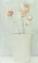 Flores con tonos suaves y desvaídos