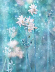 Flores azules brillantes