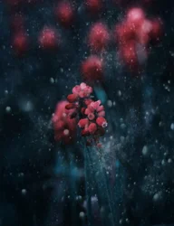 Flor oscura y resplandeciente