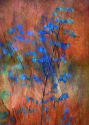 Sueño floral azul con textura