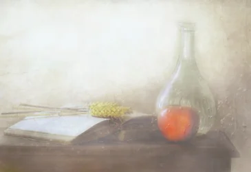 Libro antiguo y manzana