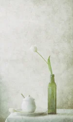 Naturaleza muerta con tulipanes blancos