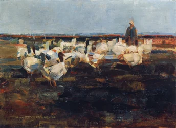 Bandada de gansos en el pasto