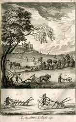 Trabajo de campo - Agricultura, siembra, arado. Varios modelos de rodillos y arados: Placa de un volumen de ilustraciones de la Enciclopedia de Diderot, edición original 1762