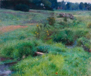 El arroyo de Medfield