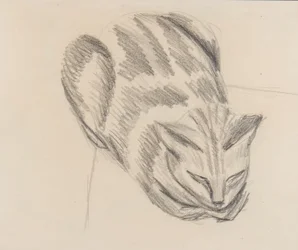 Gato durmiendo