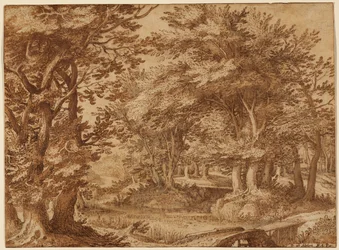 Paisaje forestal con un castillo lejano