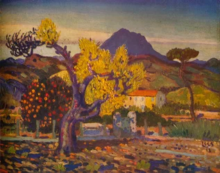 Peral en flor, 1913 1932