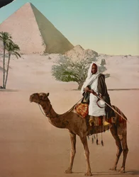 Beduino en un Camello y la Gran Pirámide, El Cairo, Egipto