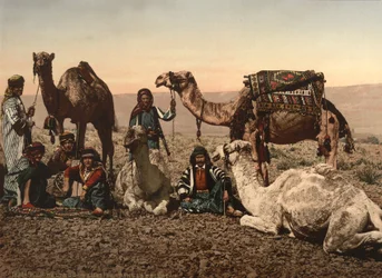 Camellos Deteniéndose en el Desierto, Tierra Santa, c.1890