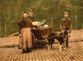 Vendedoras de leche, Bruselas, Bélgica, c.1900