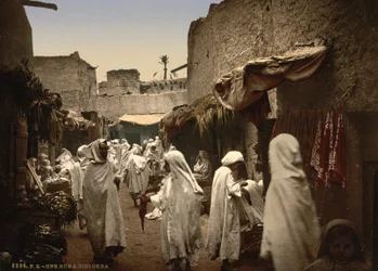 Calle argelina en Sidi Okba, c.1899