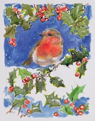 Petirrojo Navideño, 1996
