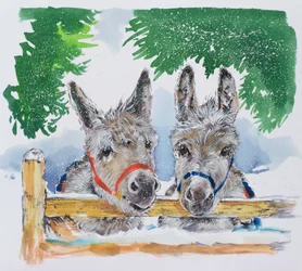 Amigos en el campo