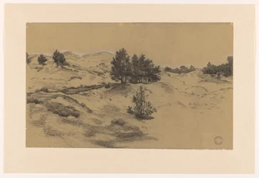 Paisaje de dunas