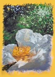 Interior de una Jara cerca de Tábara, 2025 (acrylic and pencil on canvas)