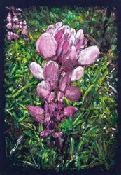 Lupino hispánico cerca de La Calzada de Bejar, 2025 (acrylic and pencil on fabric)