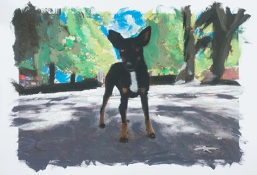 Perro en Chile, 2019 (pintura acrílica sobre foto impresa)