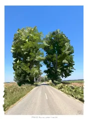 Árboles mellizos camino a Golega, 2022 (digital artwork made on iPad)