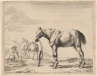 Un caballo atado a un poste