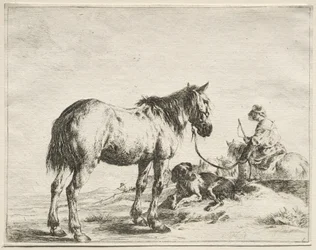 Un caballo atado a una estaca